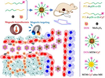 Enhanced tumor penetration for efficient chemotherapy by a magnetothermally sensitive micelle combined with magnetic targeting and magnetic hyperthermia